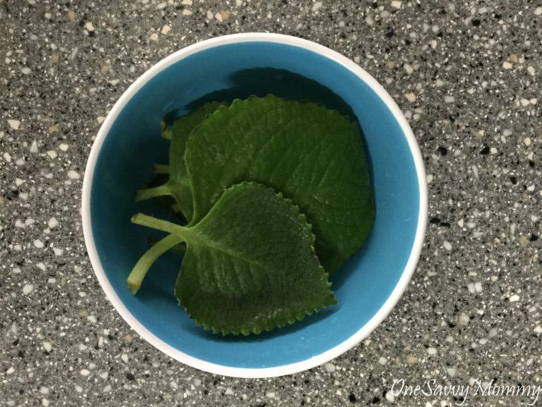 How to make Oregano Juice to relieve cough? One Savvy Mommy