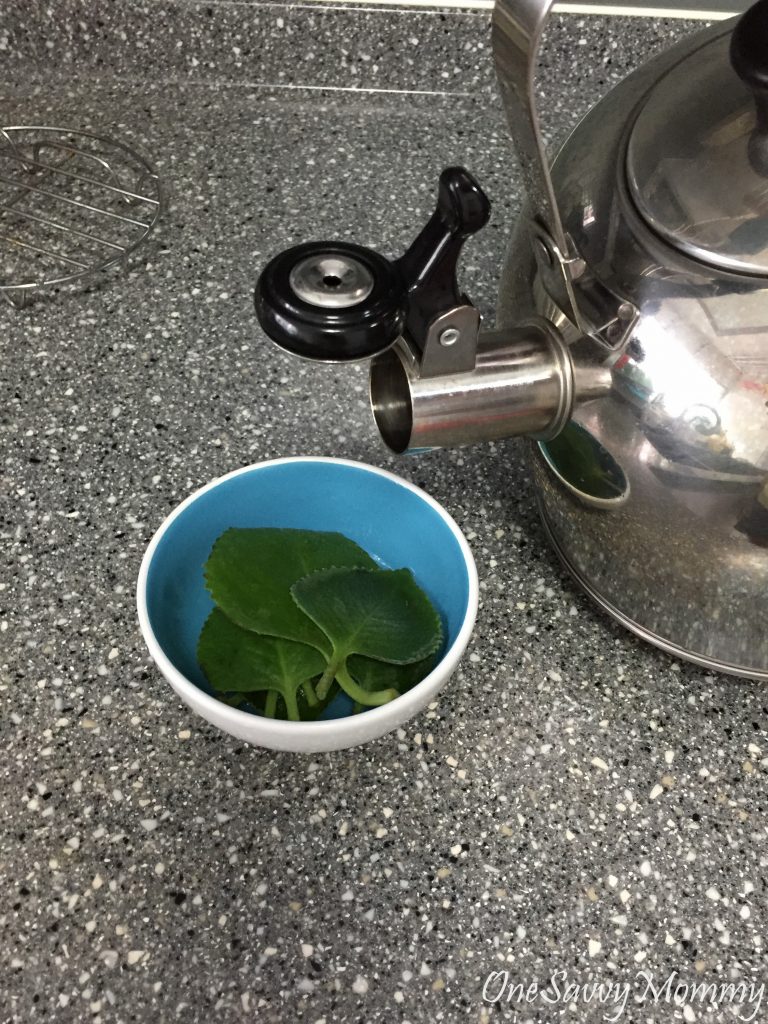 How to make Oregano Juice to relieve cough? One Savvy Mommy